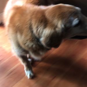 Meet your Posher, Stephen